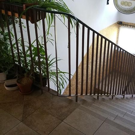 Dom Sportowca Roko Διαμέρισμα Γκντανσκ Εξωτερικό φωτογραφία